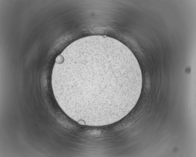 X0000116890687201002021209