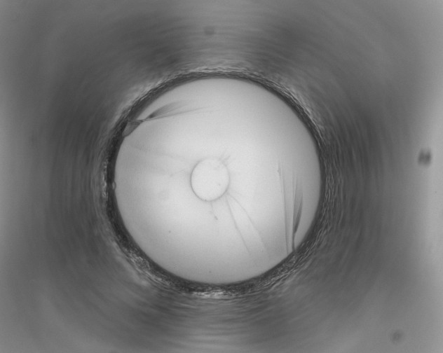 X0000116890688201002021209