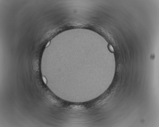 X0000116890689201002021209