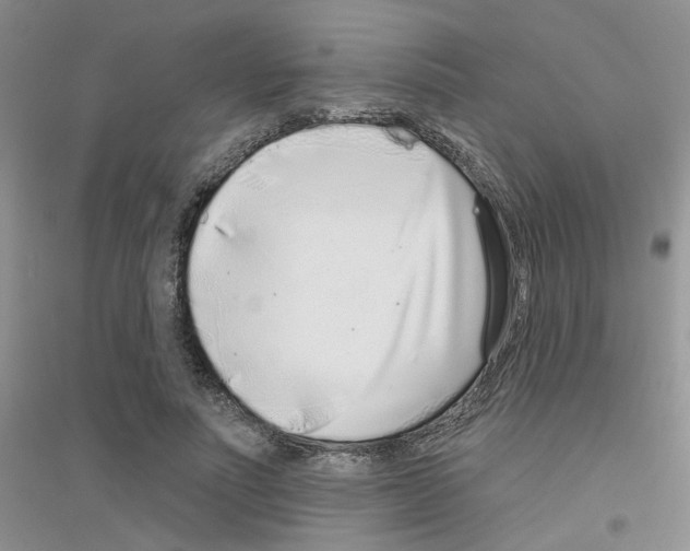 X0000116890691201002021209