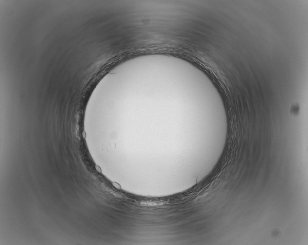 X0000116890693201002021209