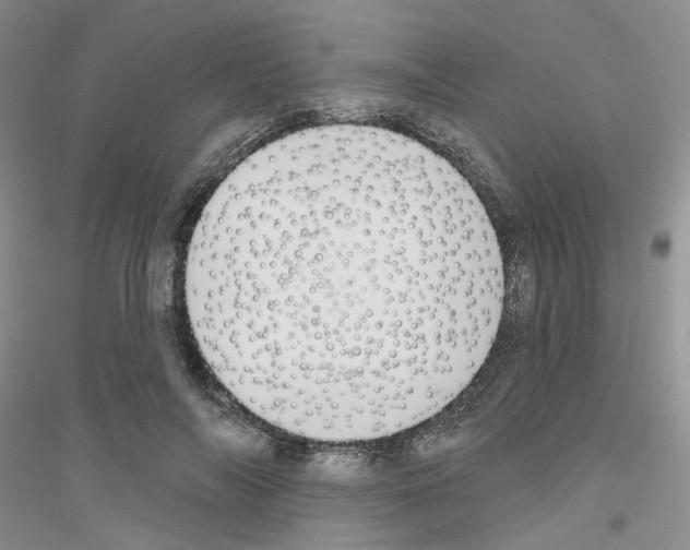 X0000116890694201002021209