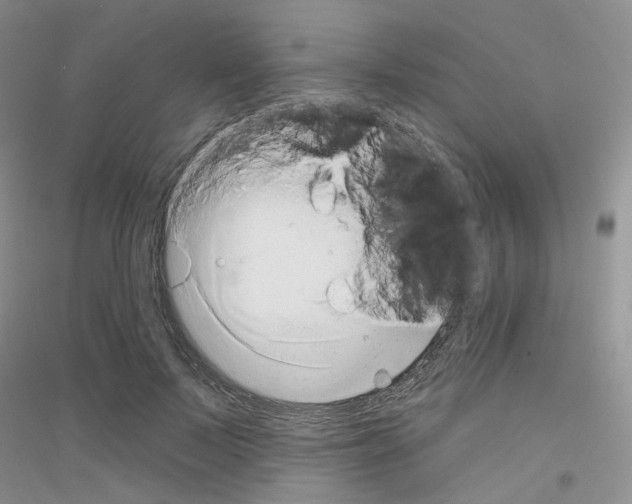 X0000116890695201002021209