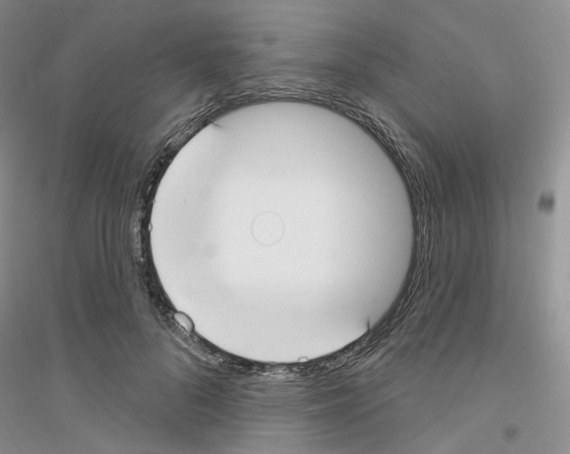 X0000116890696201002021209