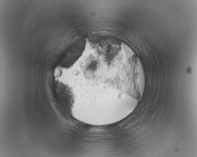 X0000116890699201002021209