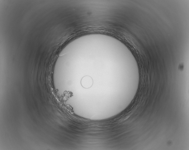 X0000116890700201002021209