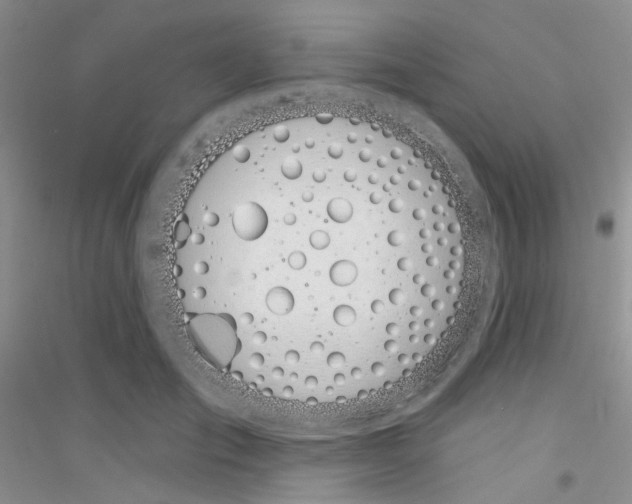 X0000116890701201002021209