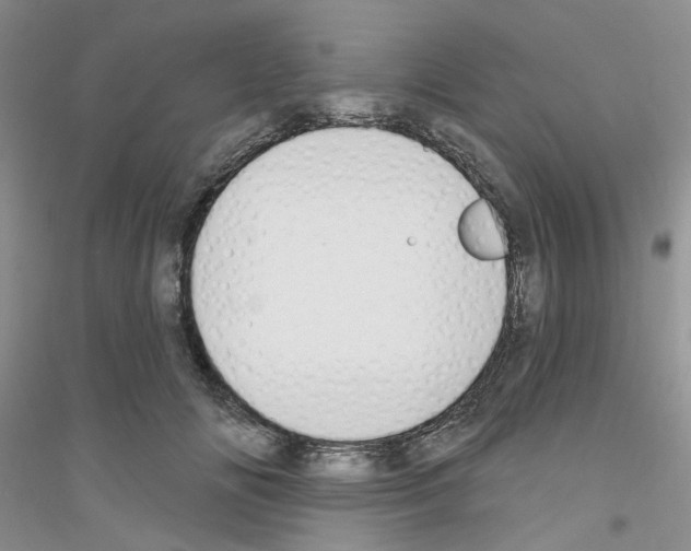 X0000116890702201002021209