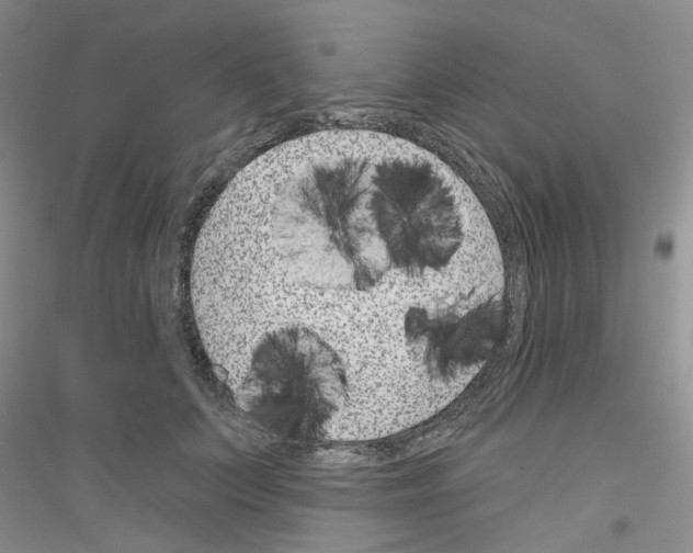 X0000116890703201002021209