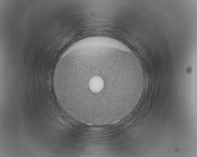 X0000116890704201002021209