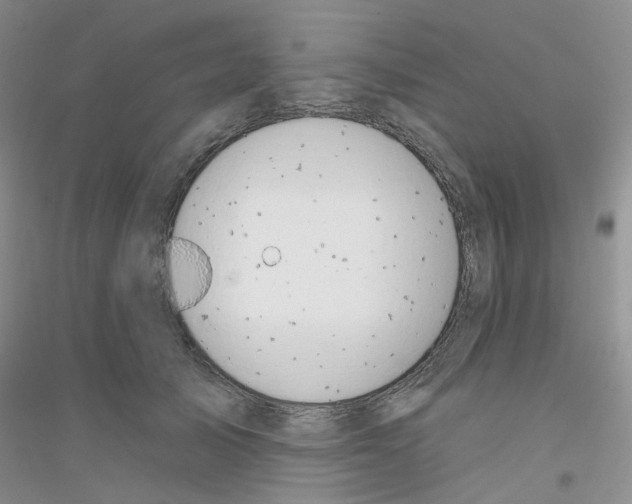 X0000116890705201002021209