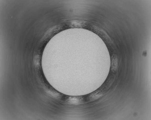 X0000116890706201002021209