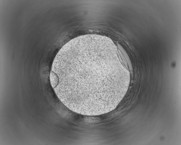 X0000116890707201002021209