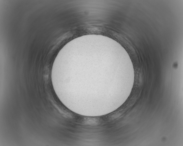 X0000116890710201002021209