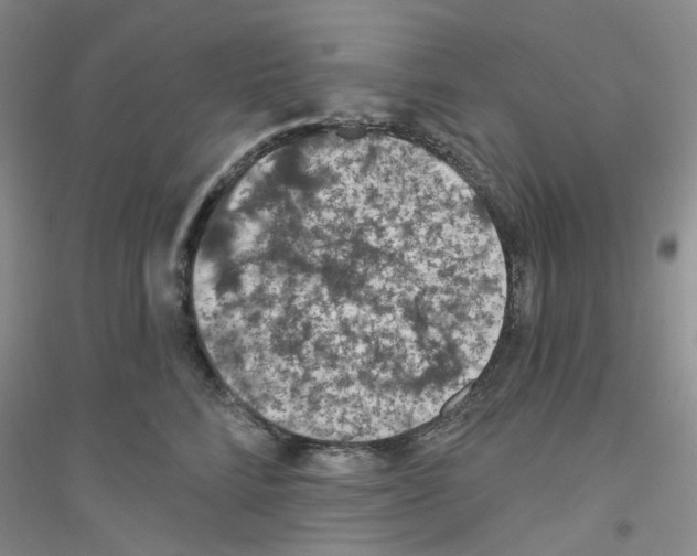 X0000116890712201002021209