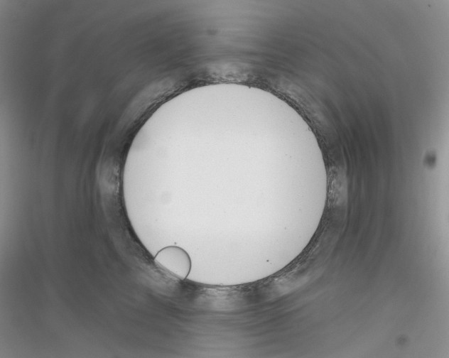 X0000116890713201002021209