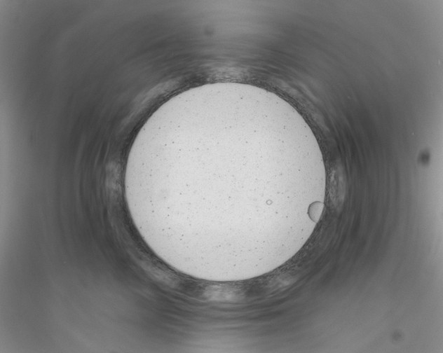 X0000116890714201002021209