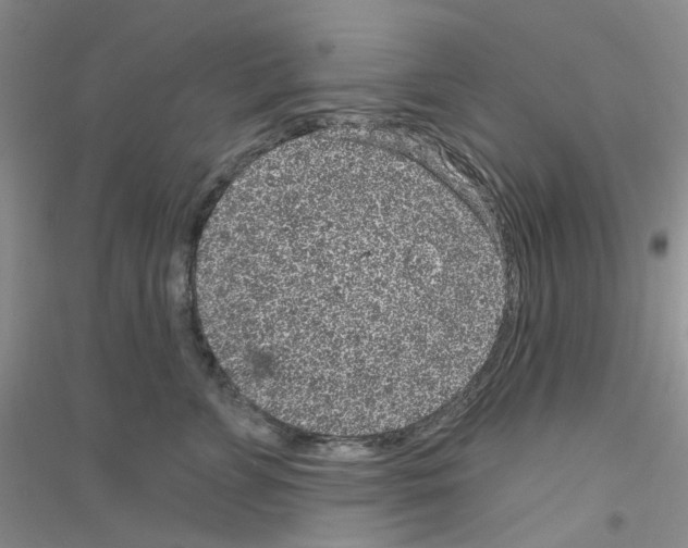 X0000116890715201002021209