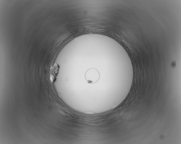 X0000116890716201002021209