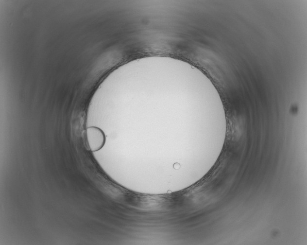 X0000116890717201002021209