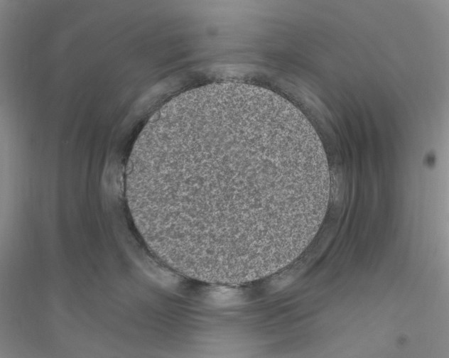 X0000116890718201002021209