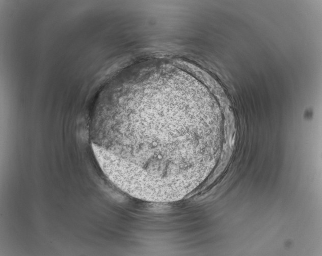 X0000116890719201002021209