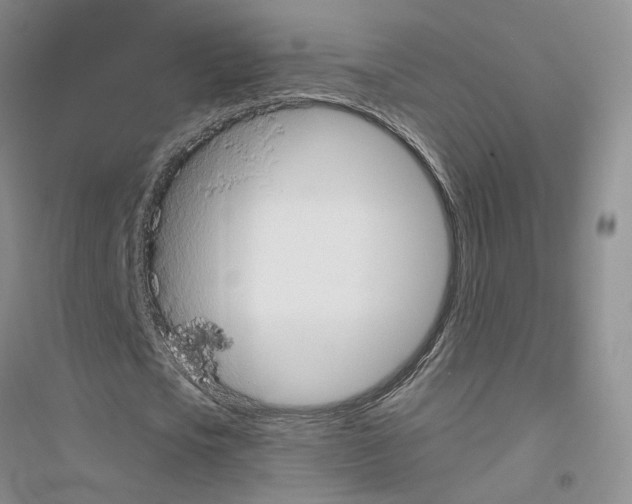 X0000116890721201002021208