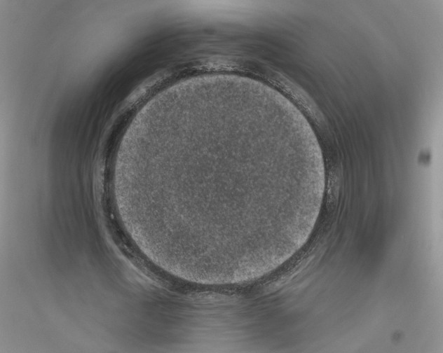 X0000116890722201002021208