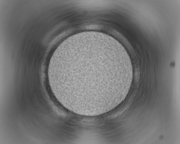 X0000116890725201002021208