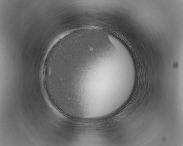 X0000116890726201002021208