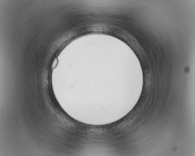 X0000116890727201002021208