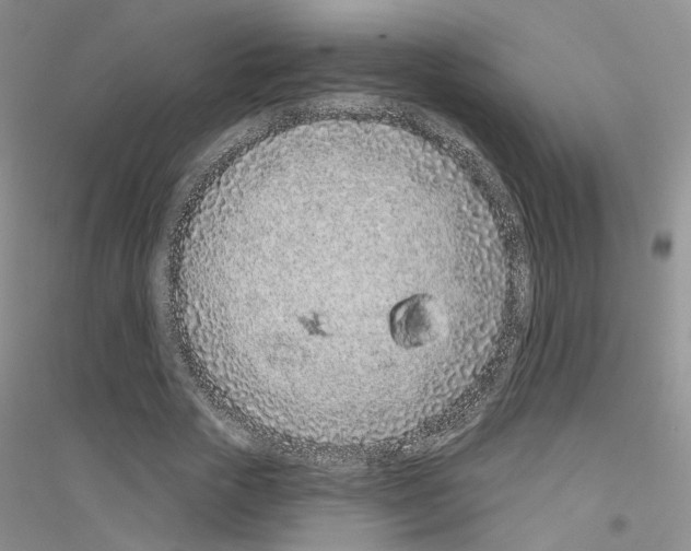 X0000116890729201002021208