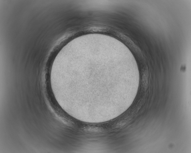 X0000116890730201002021208