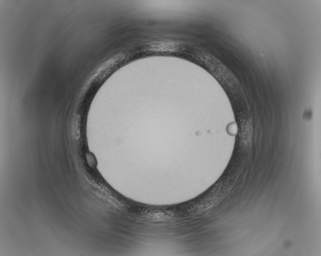 X0000116890731201002021208