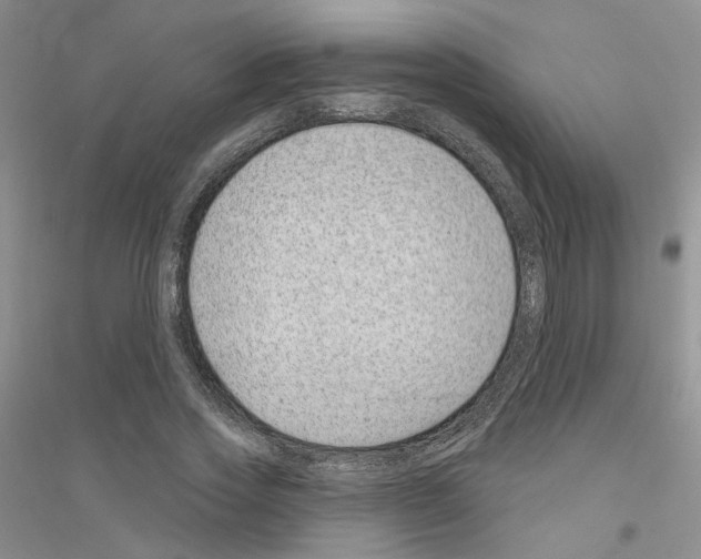 X0000116890733201002021208