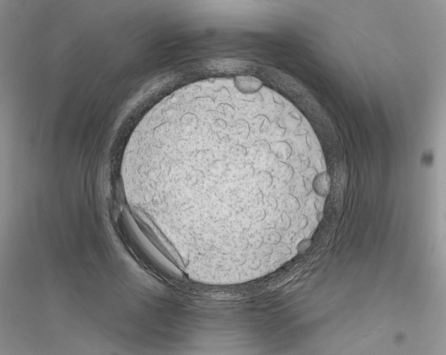 X0000116890734201002021208