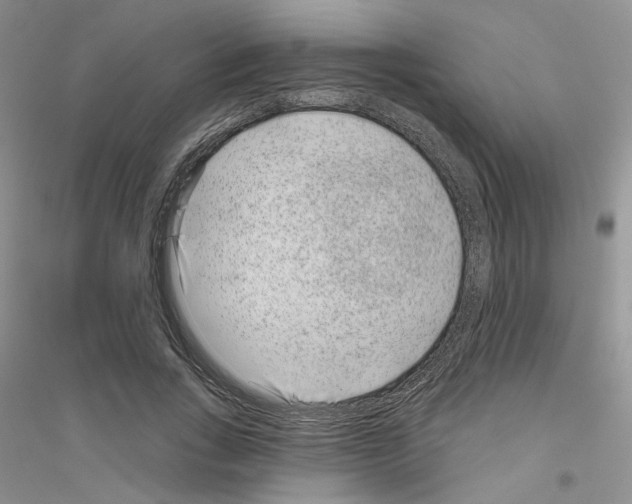 X0000116890735201002021208