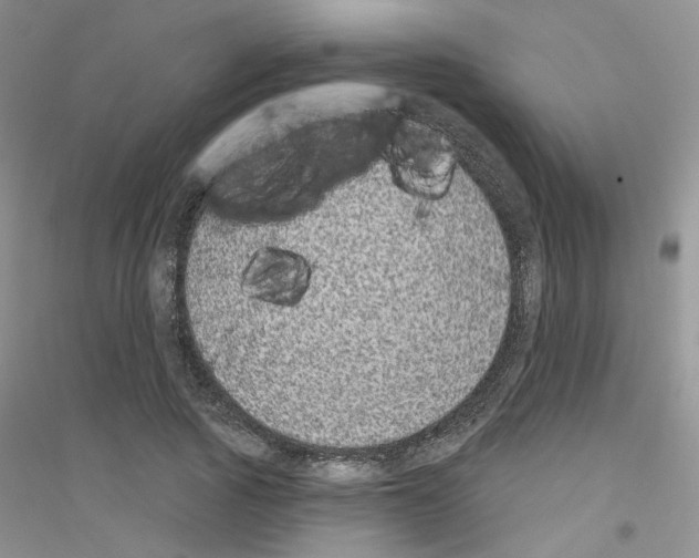 X0000116890737201002021208