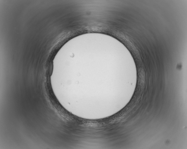 X0000116890738201002021208