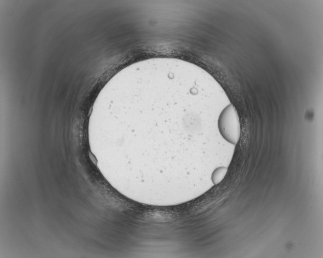 X0000116890739201002021209