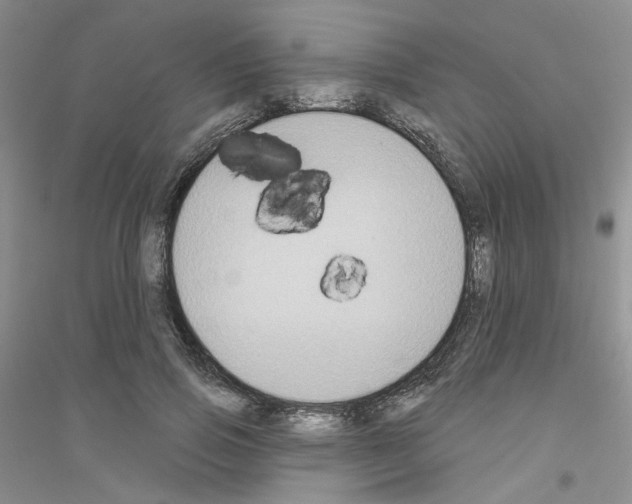 X0000116890741201002021209