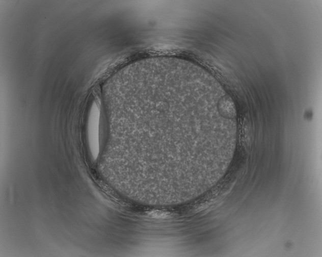 X0000116890742201002021209