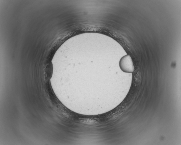 X0000116890743201002021209