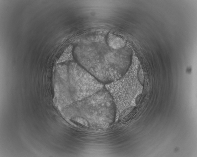 X0000116890745201002021209