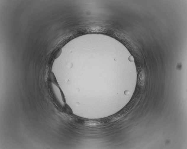 X0000116890746201002021209