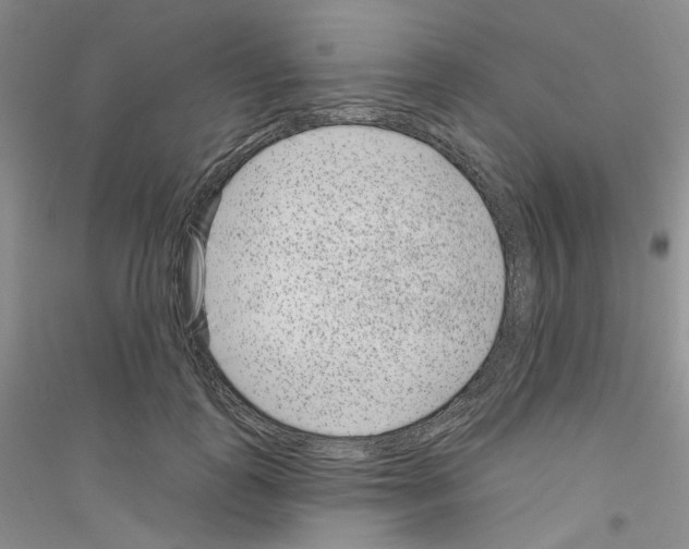 X0000116890747201002021209