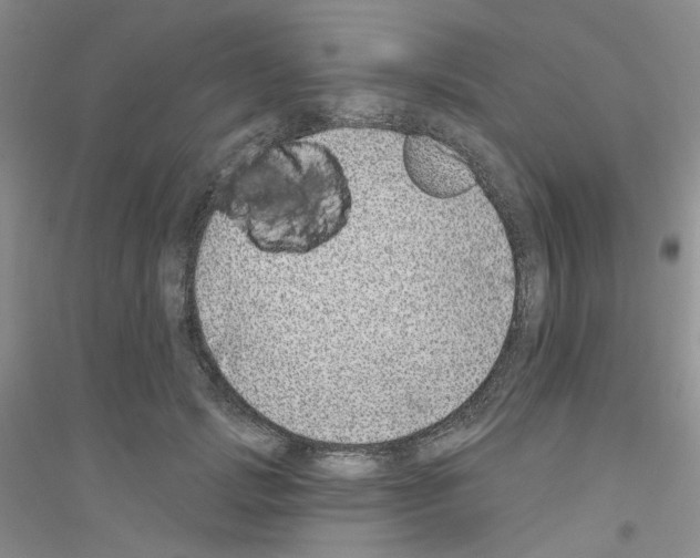 X0000116890749201002021209