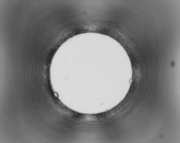 X0000116890750201002021209