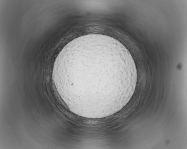 X0000116890751201002021209