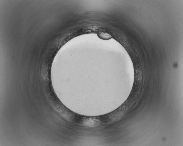 X0000116890754201002021209